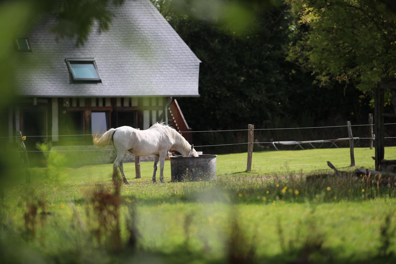 La Pomme D'amour Bed & Breakfast